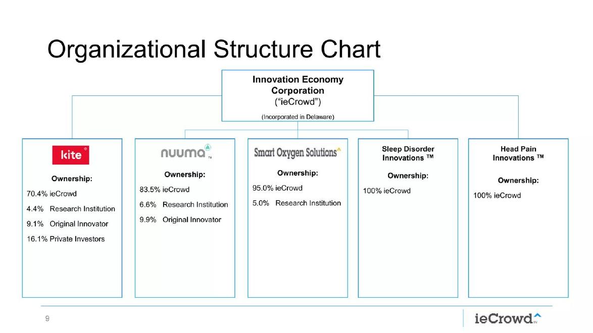 ieCrowd pitch deck Company structure slide slide 9