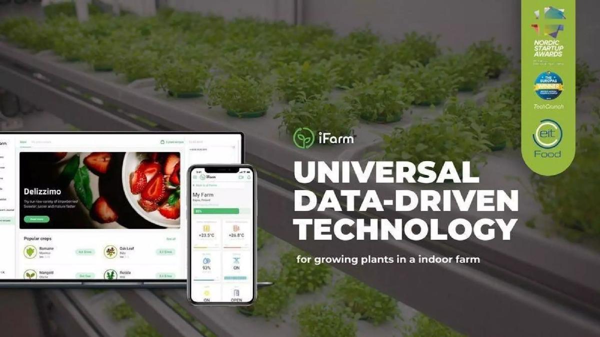 iFarm pitch deck slide 1 of 11