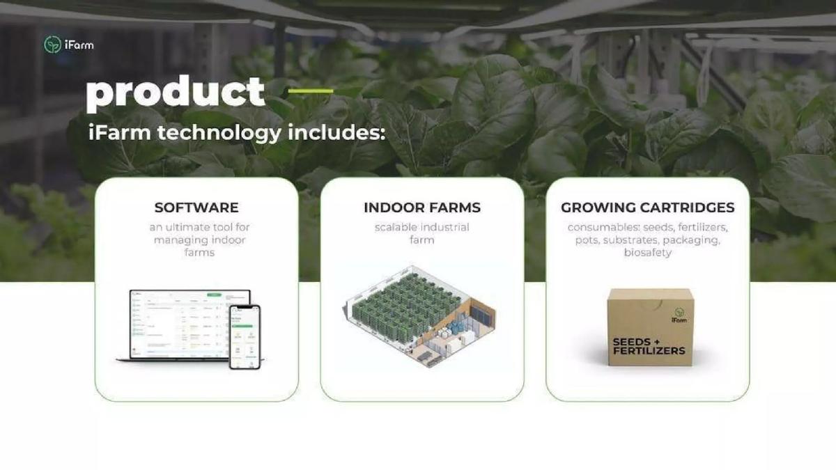 iFarm pitch deck slide 4 of 11
