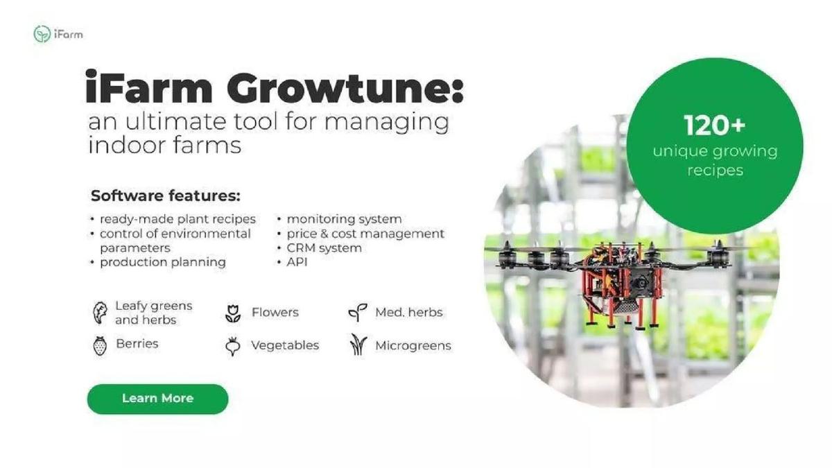 iFarm pitch deck slide 5 of 11