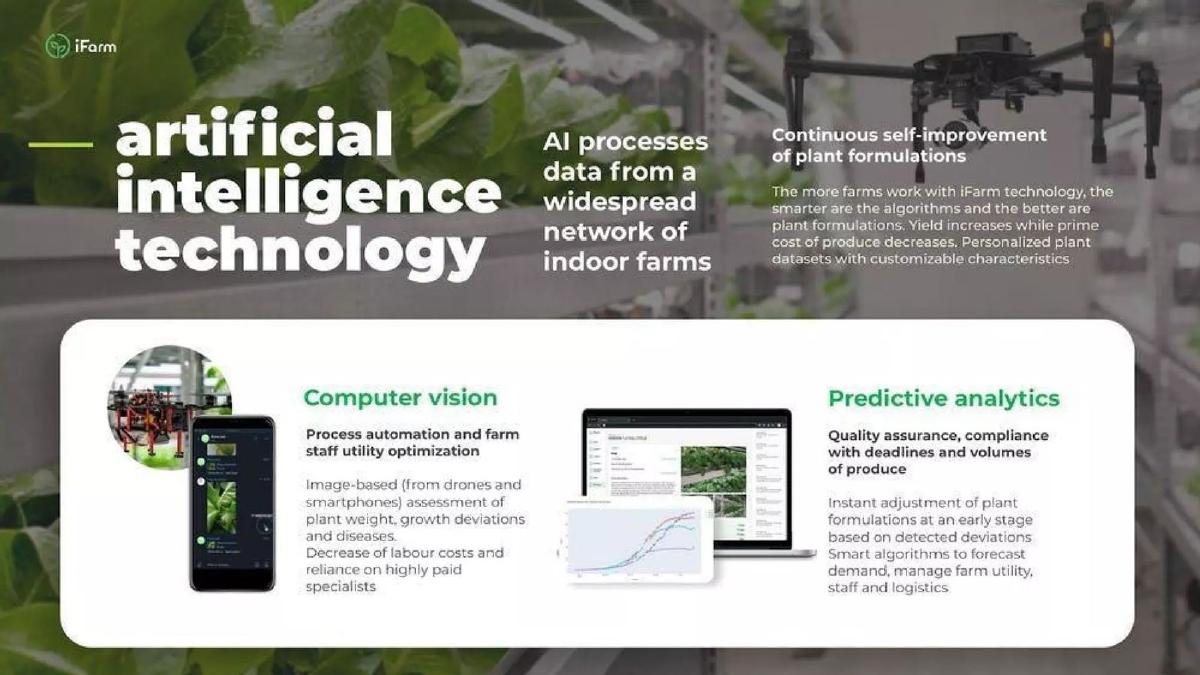 iFarm pitch deck slide 6 of 11
