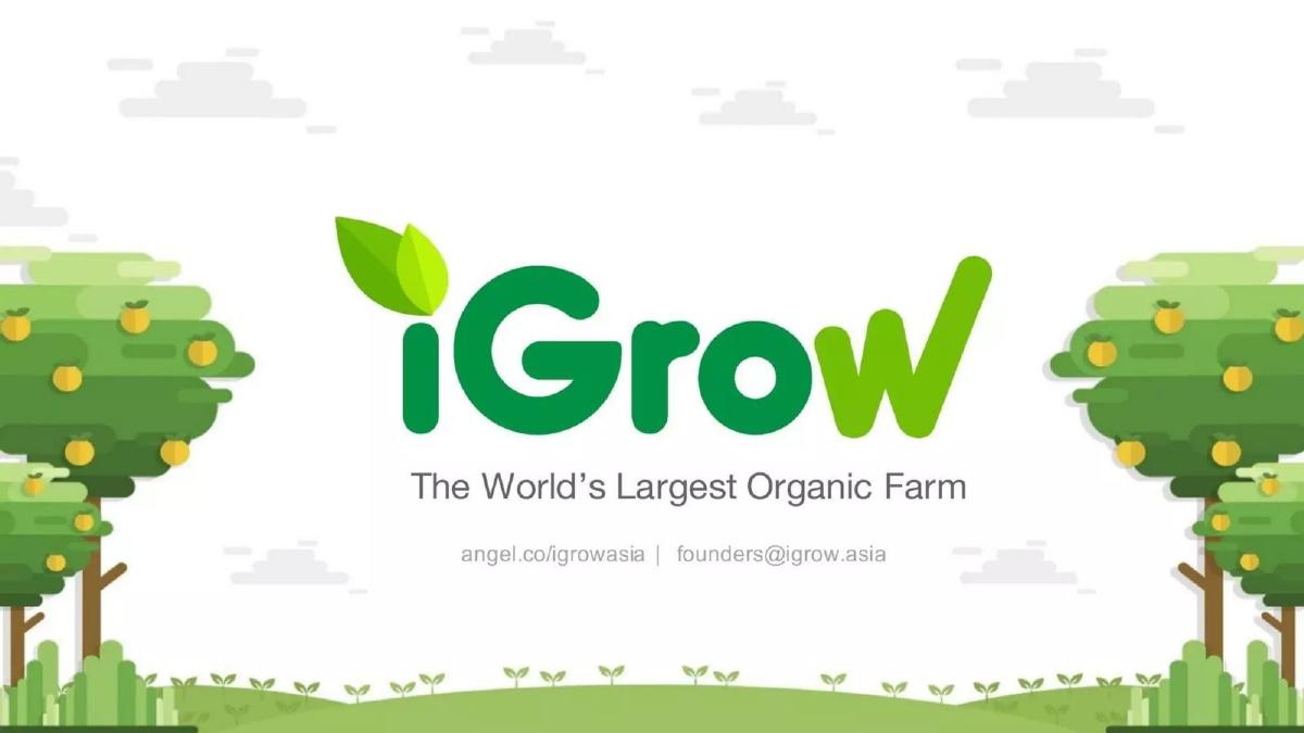 iGrow pitch deck slide 1 of 13