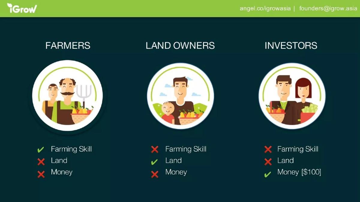 iGrow pitch deck slide 3 of 13