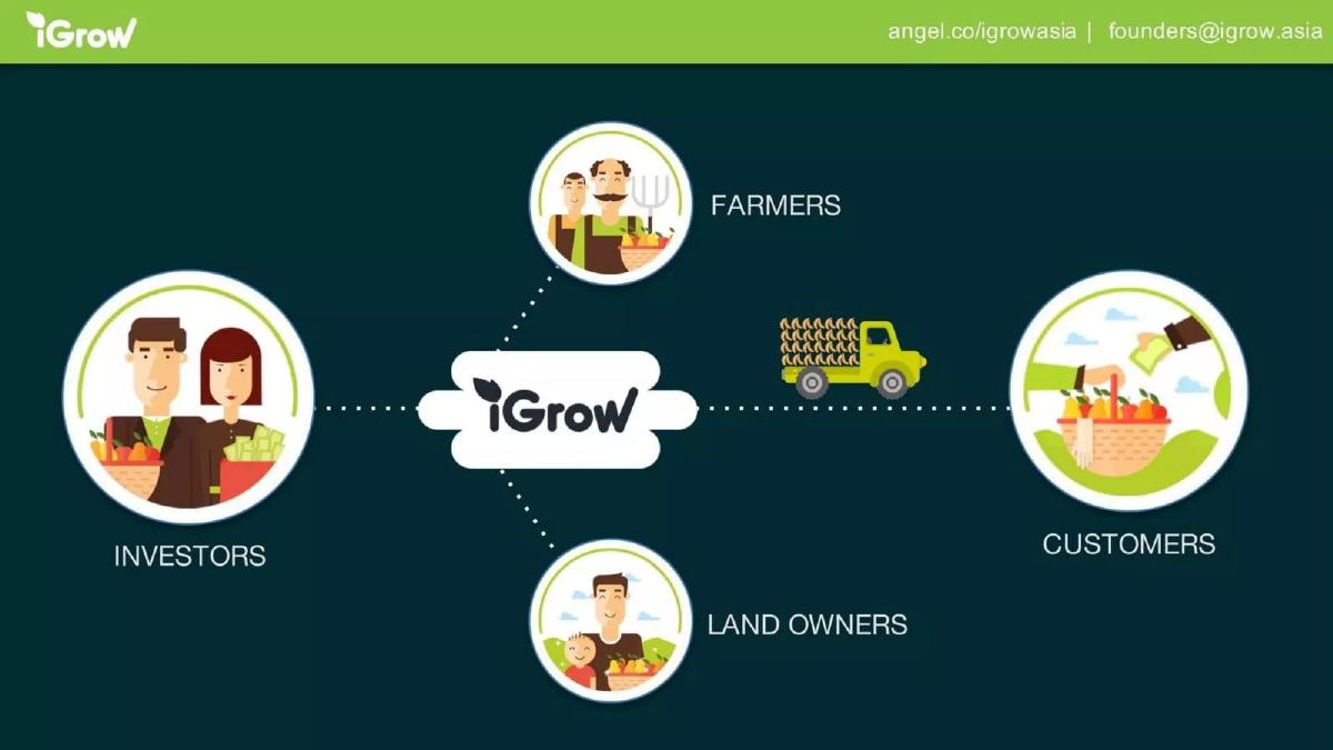 iGrow pitch deck slide 4 of 13