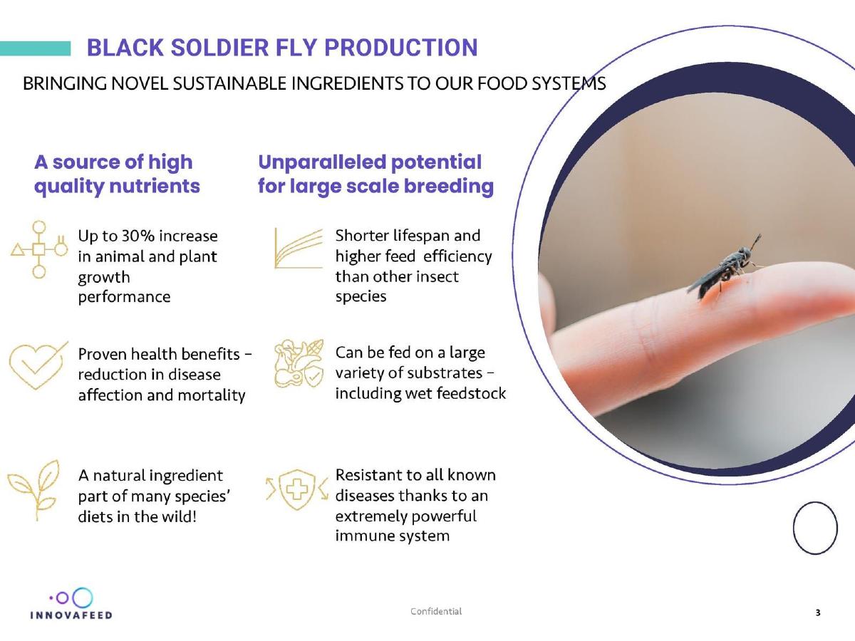 Innovafeed pitch deck slide 3 of 9