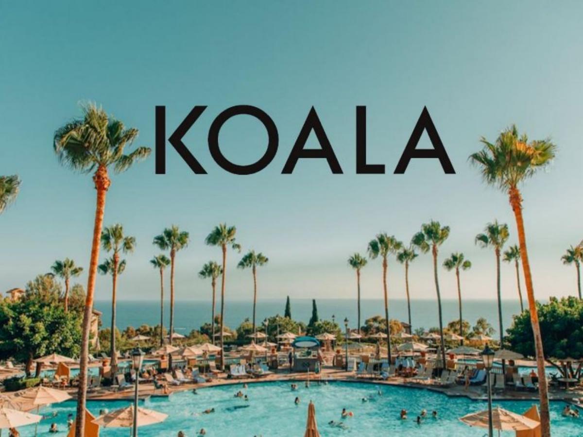 Koala pitch deck slide 1 of 22