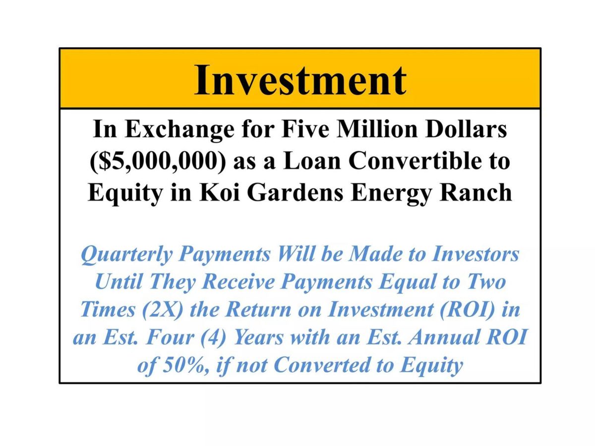 Koi Gardens Energy Ranch pitch deck exit strategy slide 20