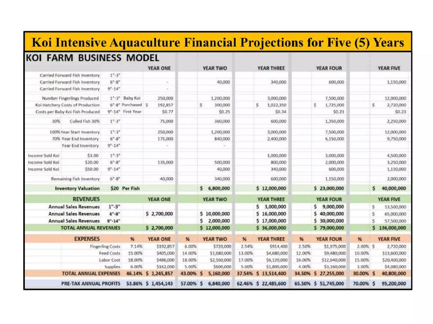 Koi Farm pitch deck business model slide 21