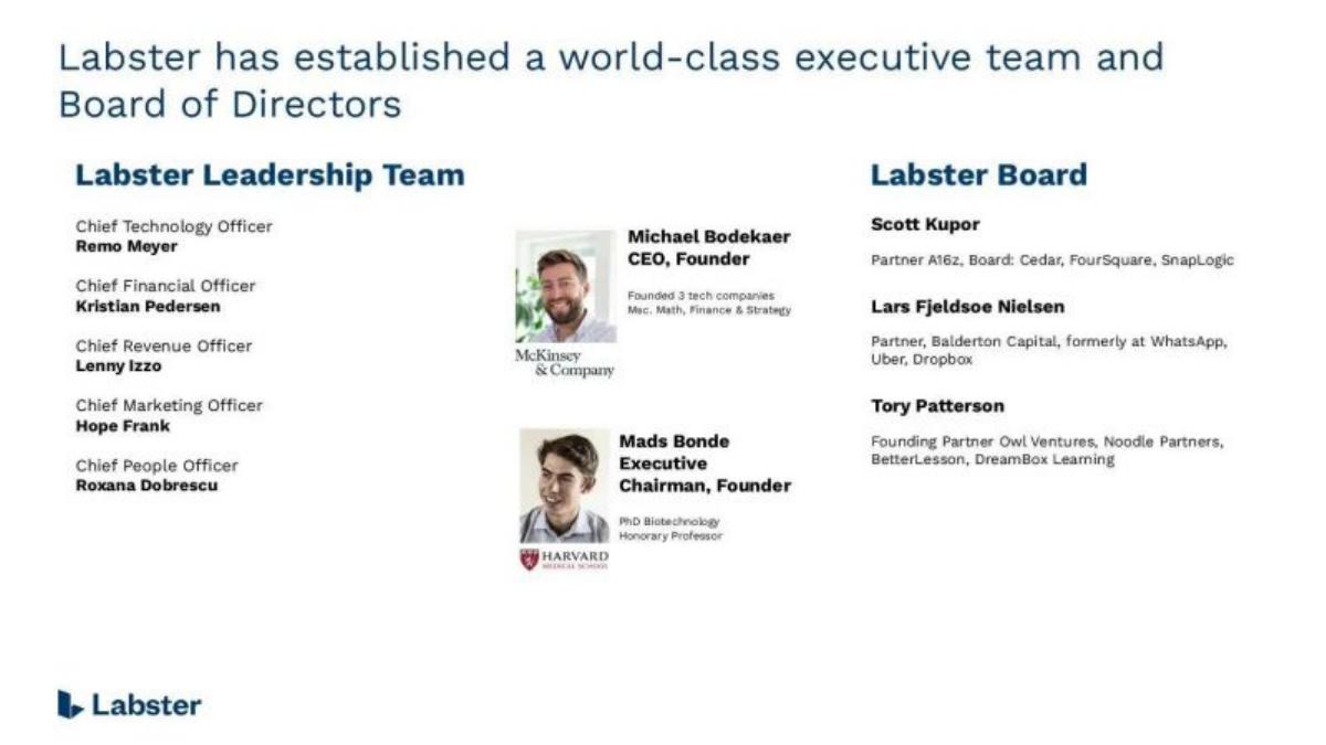Labster pitch deck slide 3 of 13