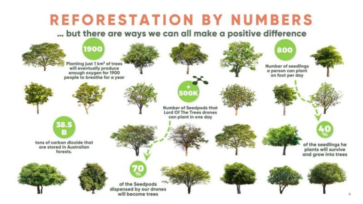 Lord of the Trees pitch deck slide 4 of 13