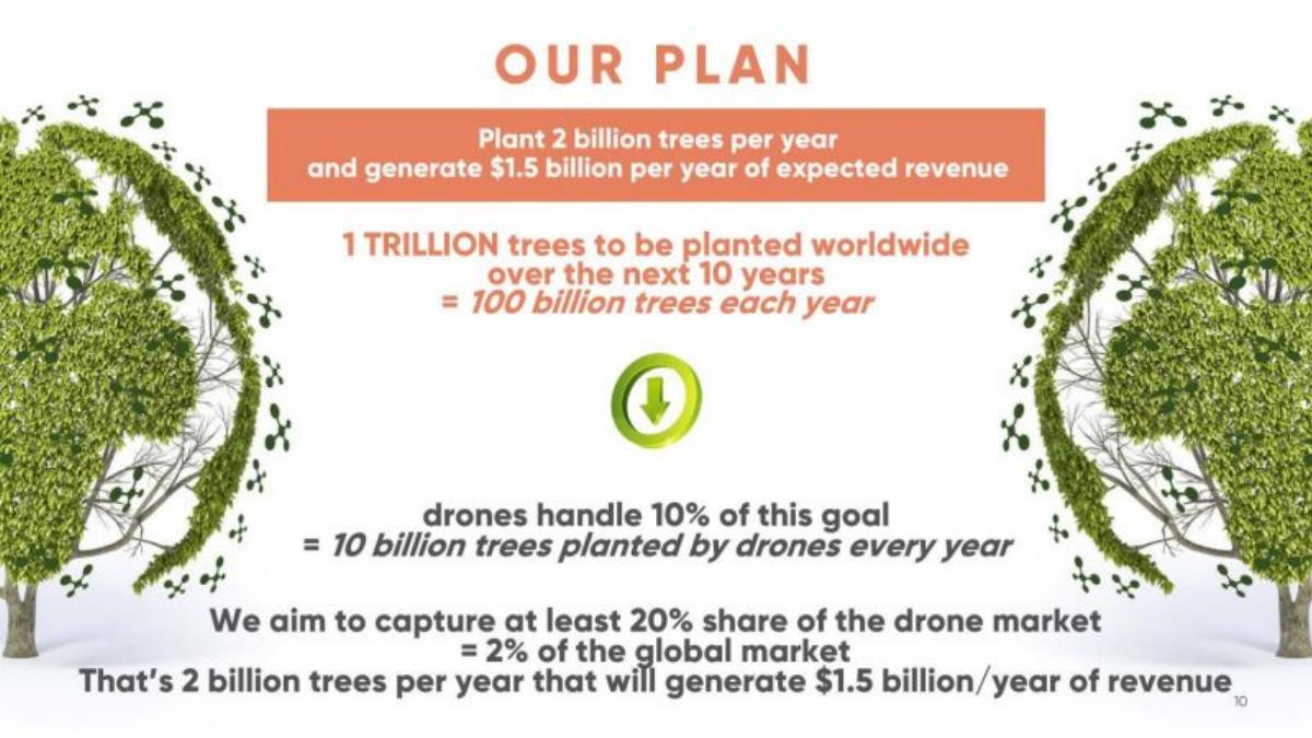 Lord of the Trees pitch deck slide 5 of 13