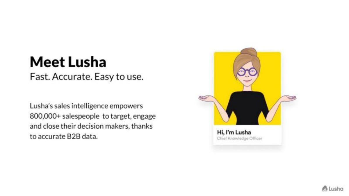 Lusha pitch deck slide 3 of 14