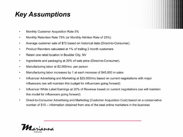Marianna Naturals pitch deck Influencer marketing on the go-to-market slide slide 38