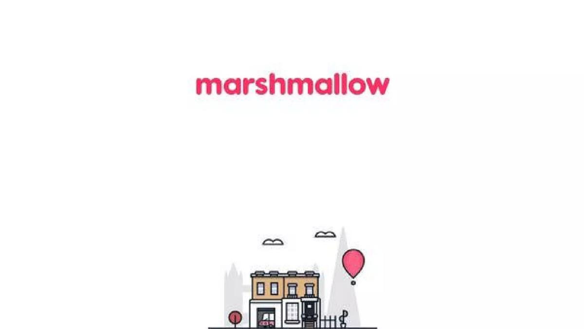 Marshmallow pitch deck slide 1 of 9