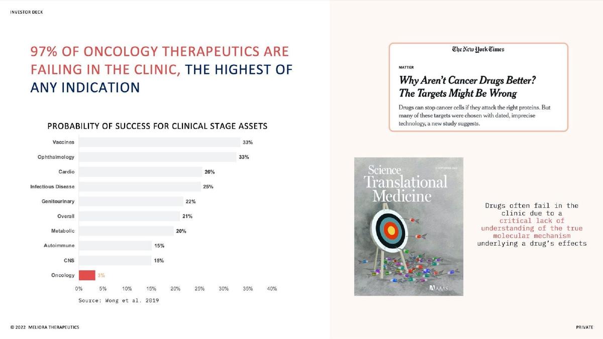 Meliora Therapeutics pitch deck slide 2 of 14