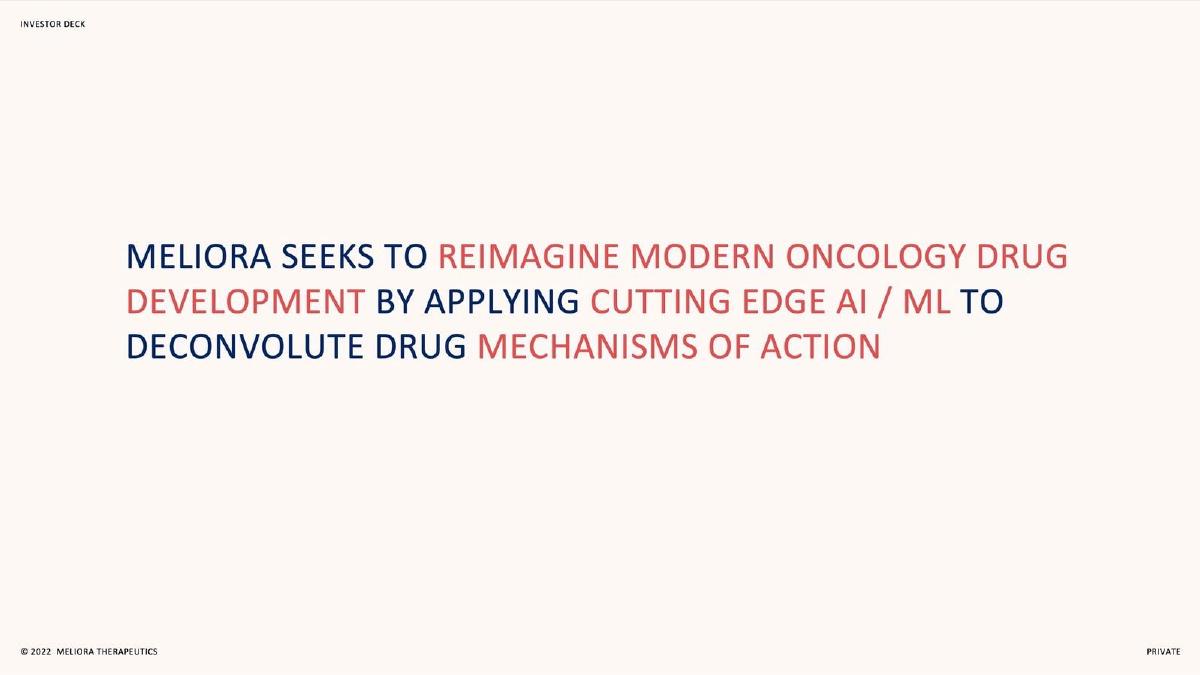 Meliora Therapeutics pitch deck slide 3 of 14