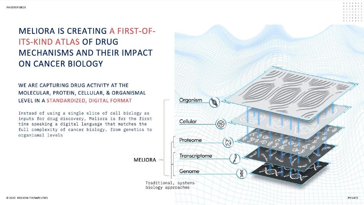 Meliora Therapeutics pitch deck slide 4 of 14