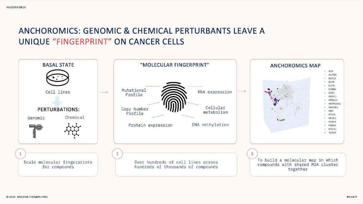 Meliora Therapeutics pitch deck slide 5 of 14