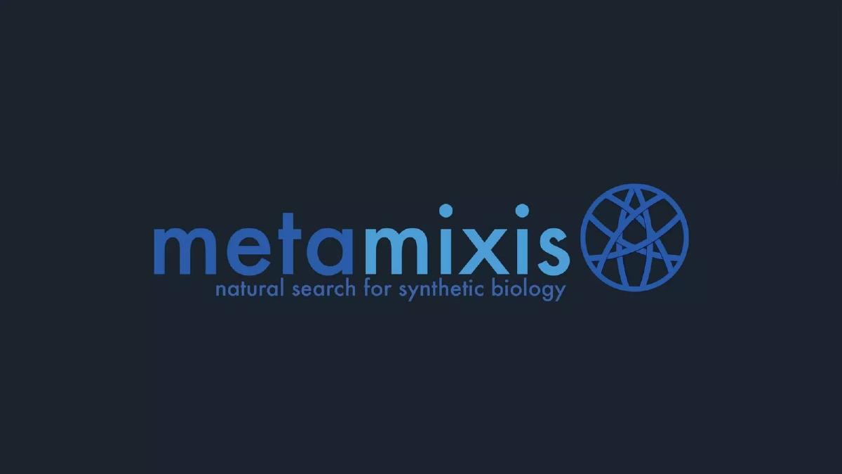 MetaMixis pitch deck slide 1 of 6