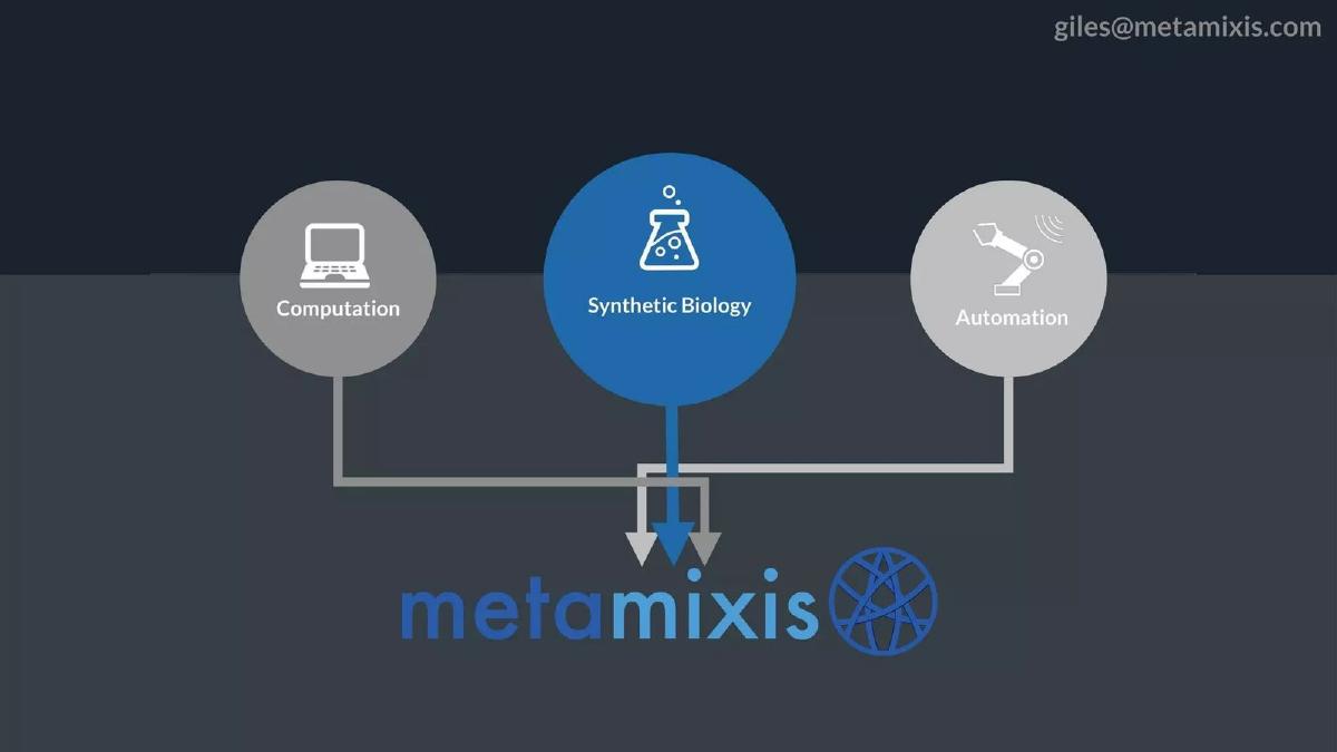 MetaMixis pitch deck slide 2 of 6