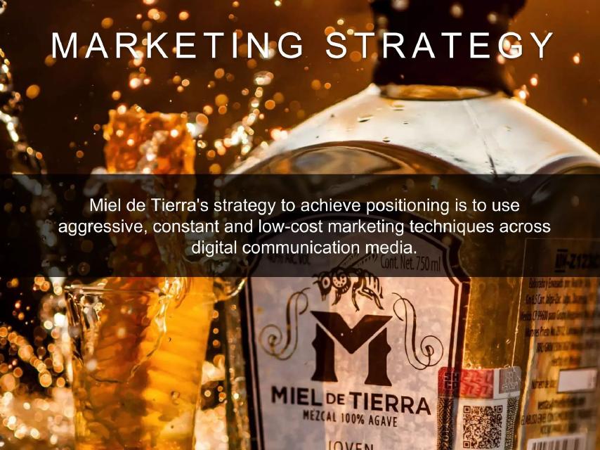 Miel de Tierra pitch deck go-to-market slide 14