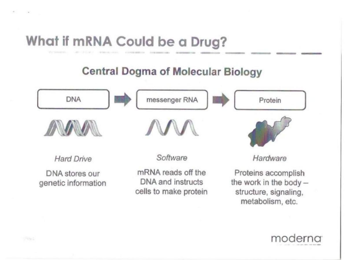 Moderna pitch deck slide 5 of 40