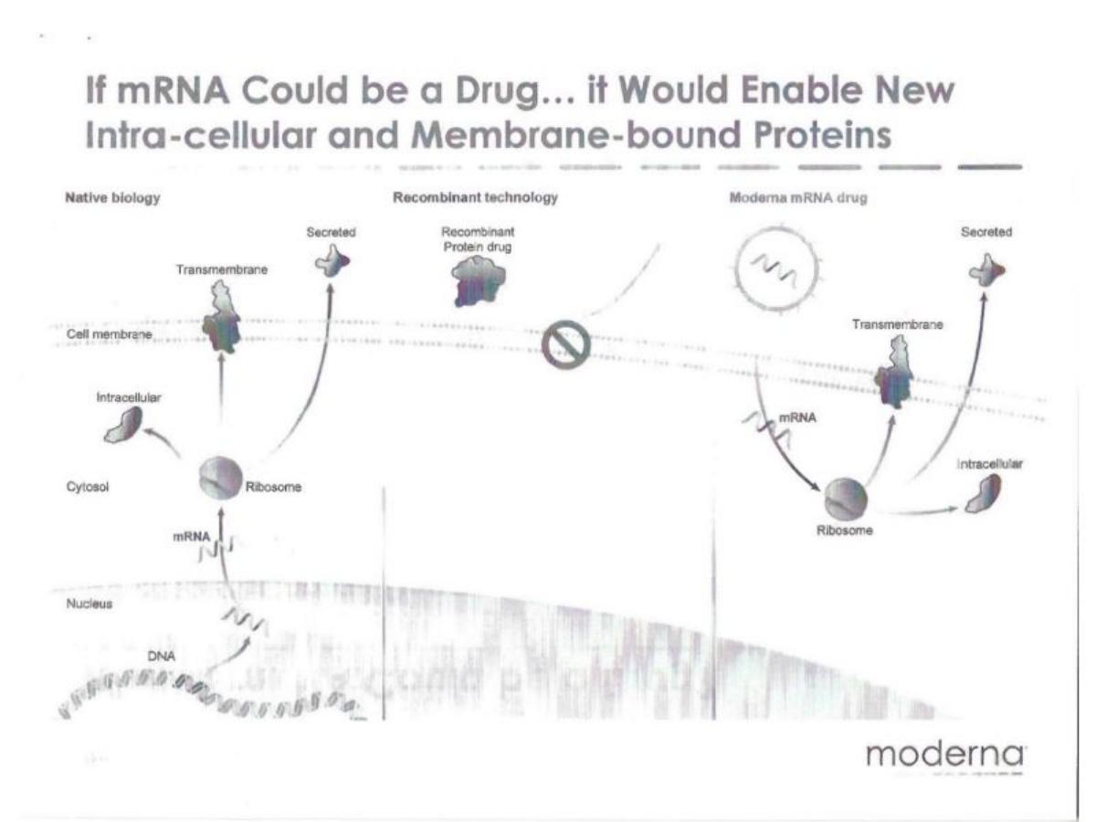 Moderna pitch deck slide 6 of 40