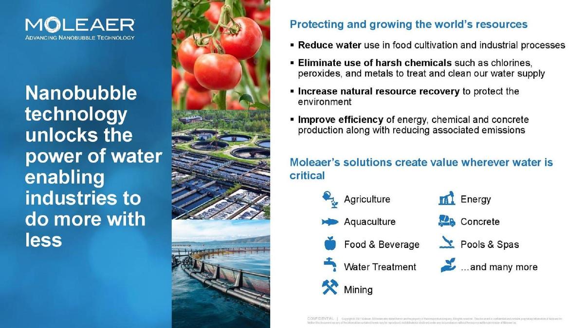 Moleaer pitch deck slide 3 of 13