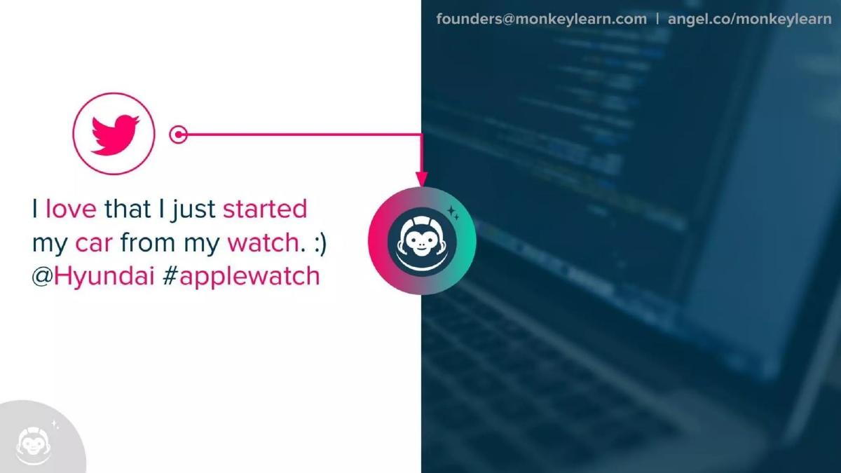 MonkeyLearn pitch deck slide 3 of 11