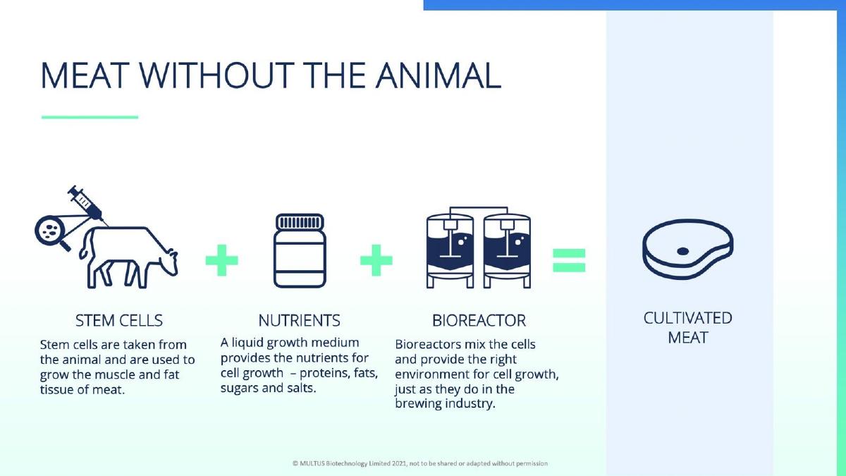 Multus Media pitch deck slide 4 of 10