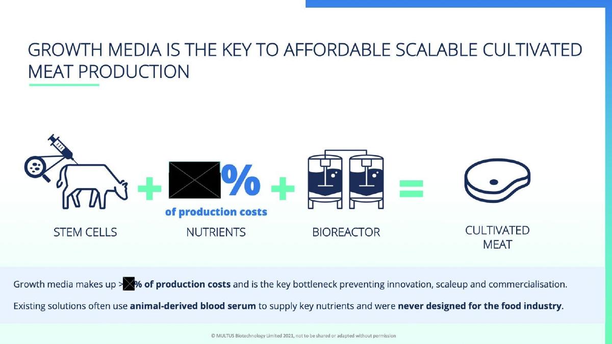 Multus Media pitch deck slide 5 of 10