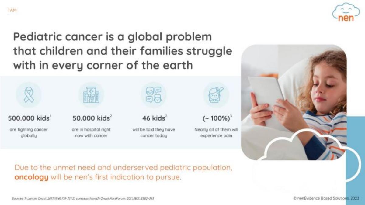Nen pitch deck slide 3 of 14