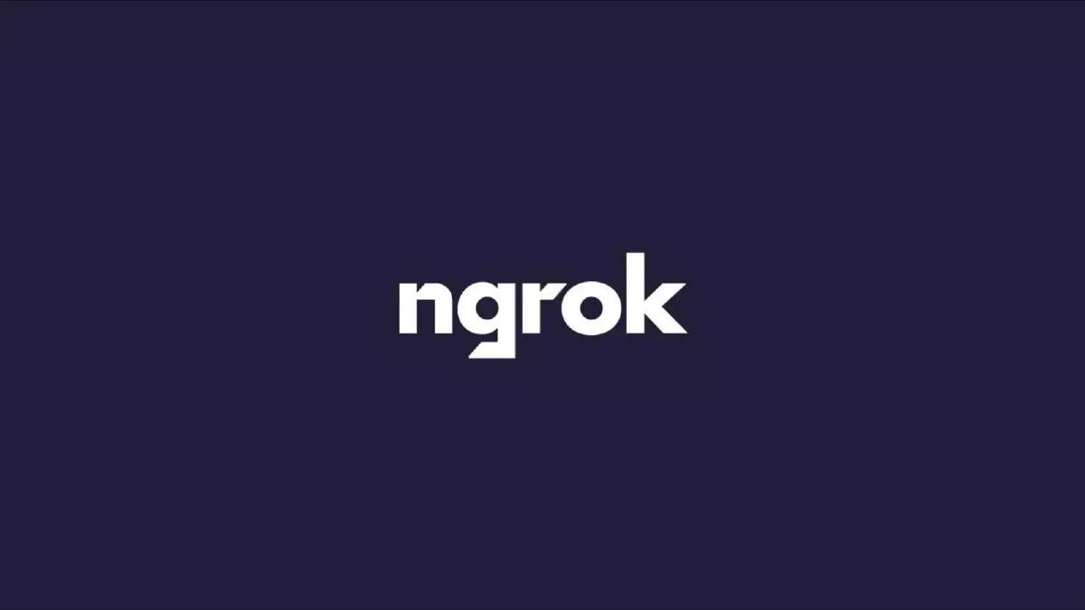 Ngrok pitch deck slide 1 of 17