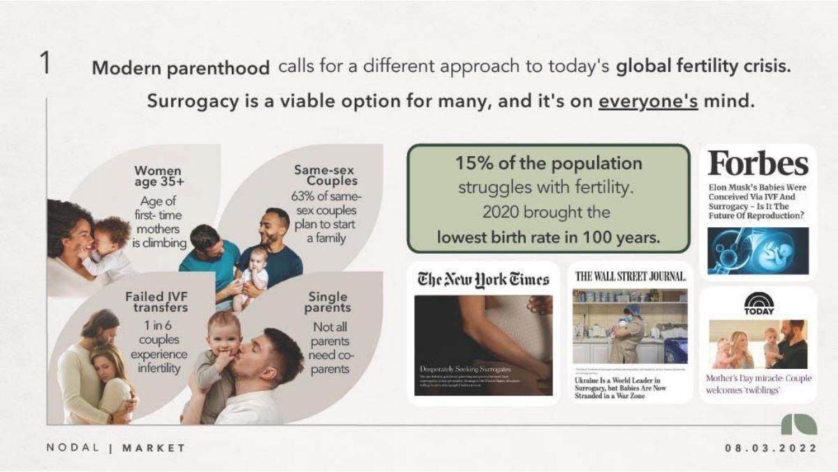 Nodal pitch deck slide 2 of 8
