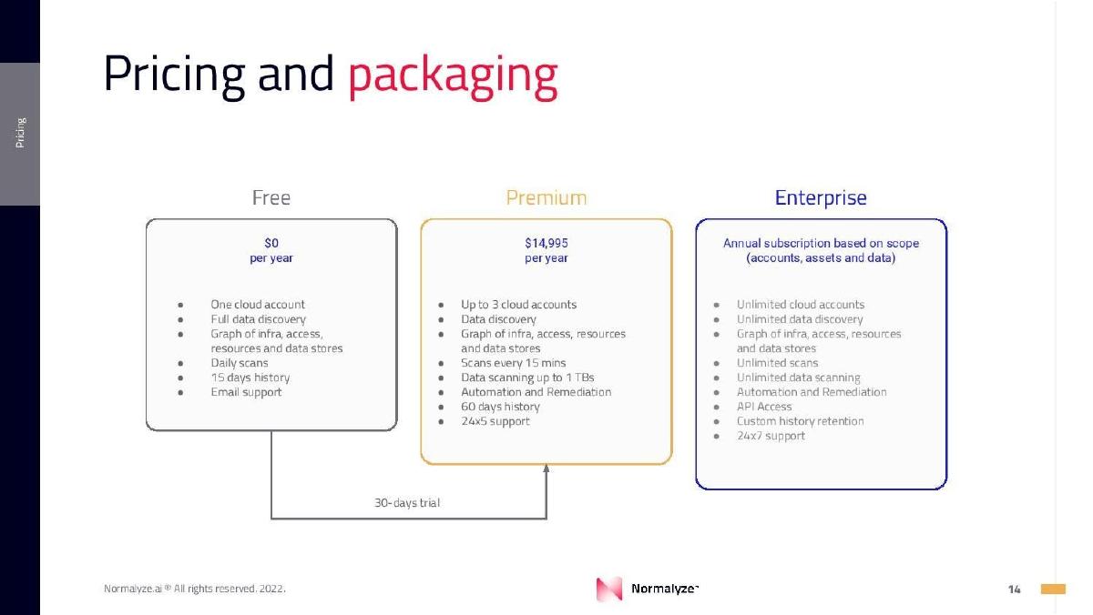 Normalyze pitch deck pricing slide 14