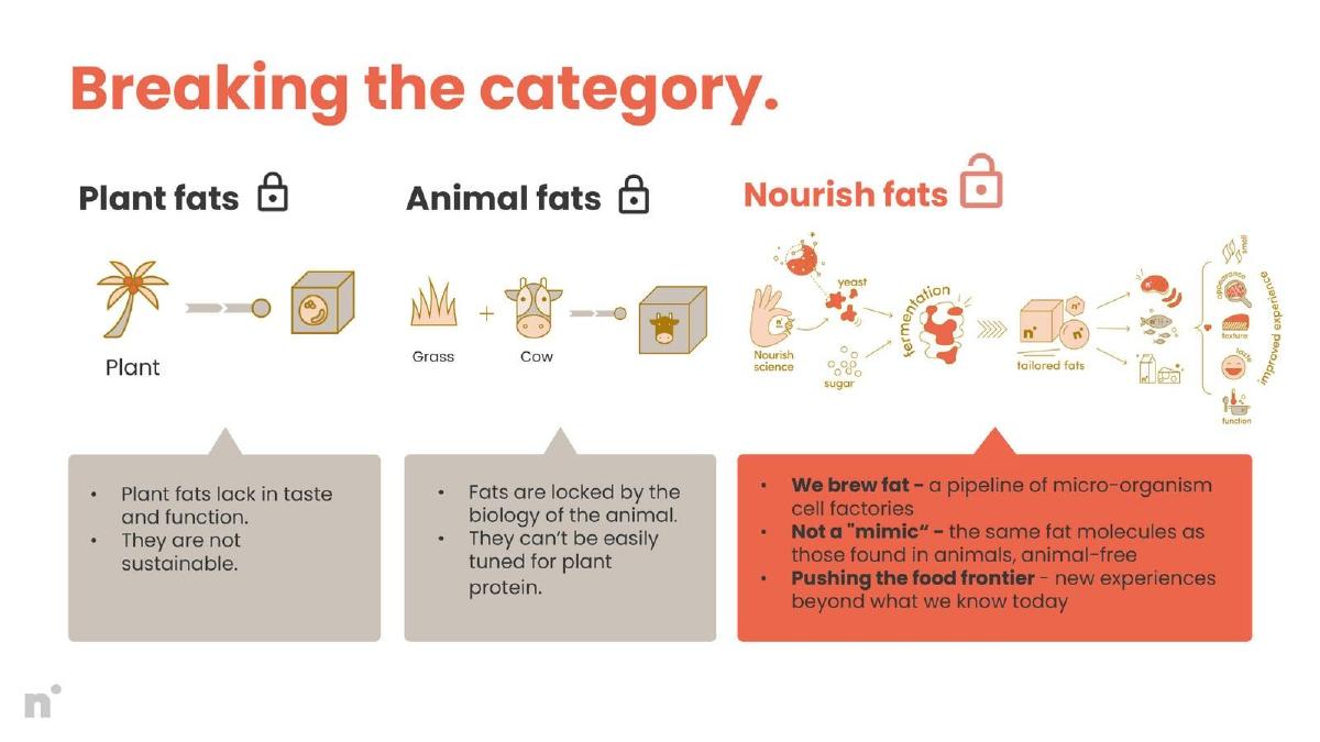 Nourish Ingredients pitch deck slide 7 of 13