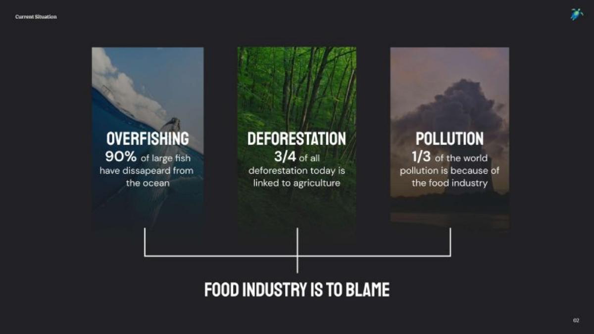Palau Project pitch deck slide 2 of 23
