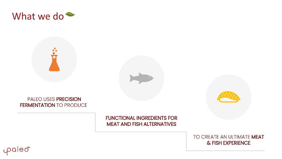 Paleo pitch deck slide 2 of 10