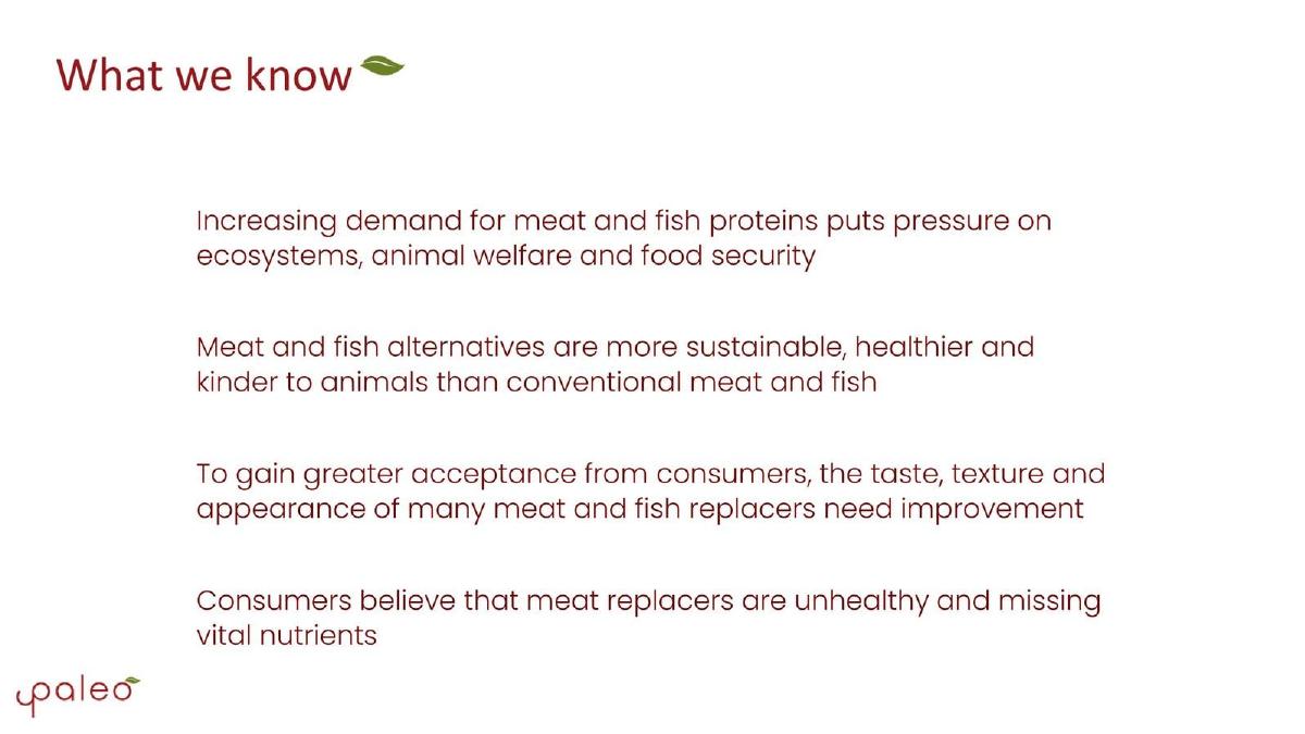 Paleo pitch deck slide 3 of 10
