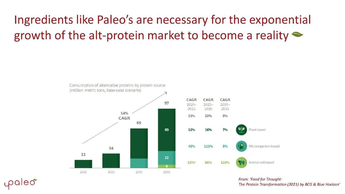 Paleo pitch deck slide 6 of 10