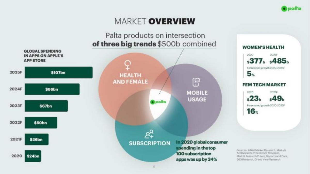 Palta pitch deck slide 6 of 13