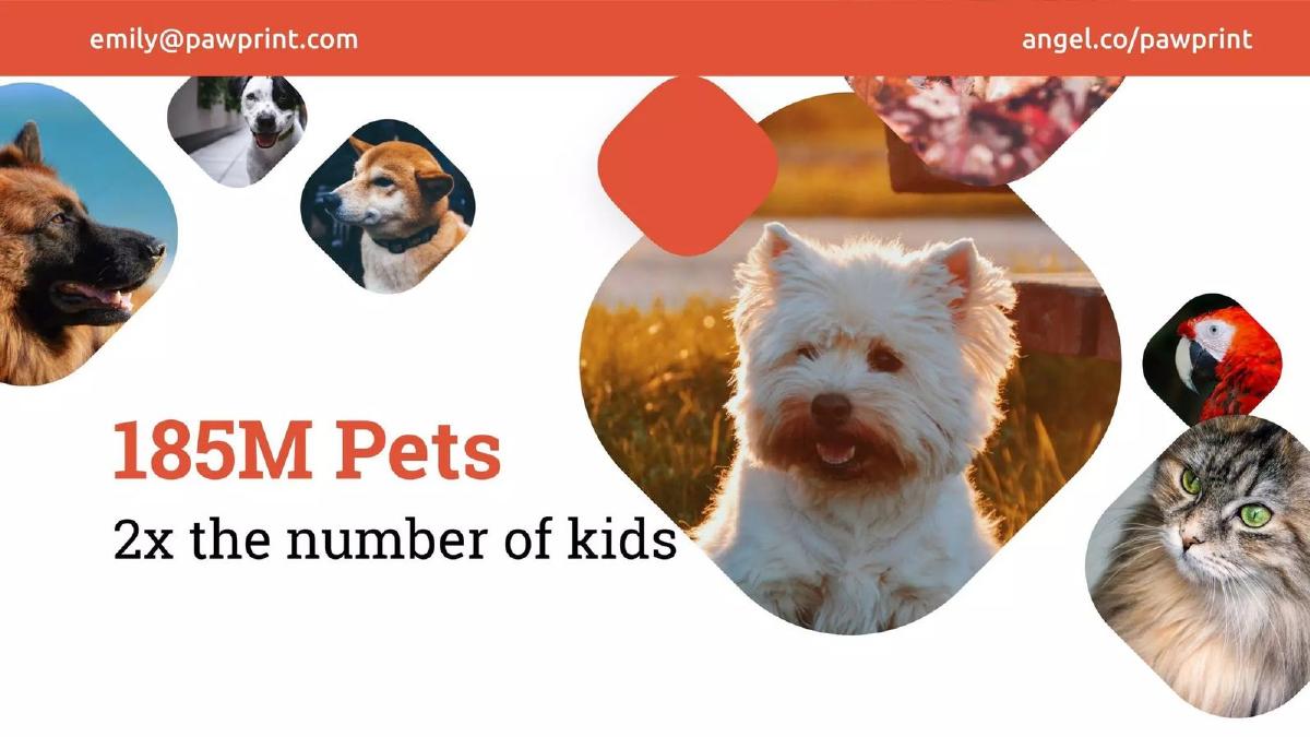 Pawprint pitch deck slide 4 of 14