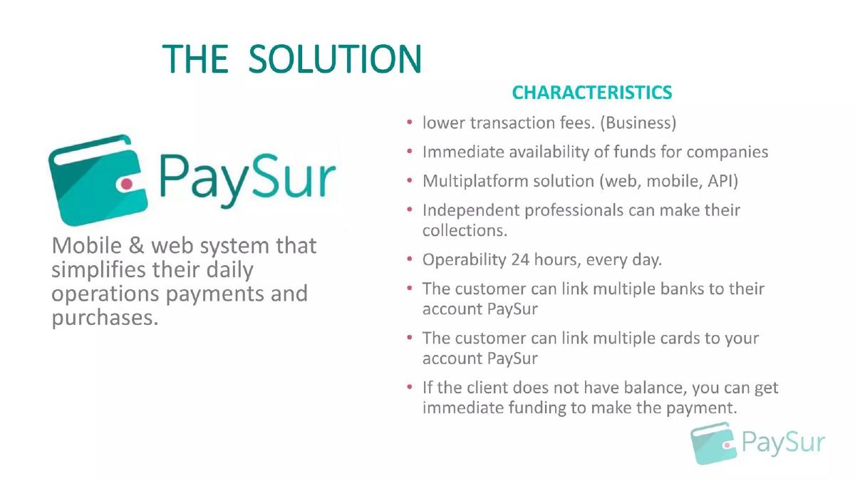 PaySur pitch deck slide 3 of 13
