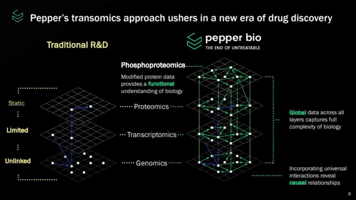 Pepper Bio pitch deck slide 6 of 21