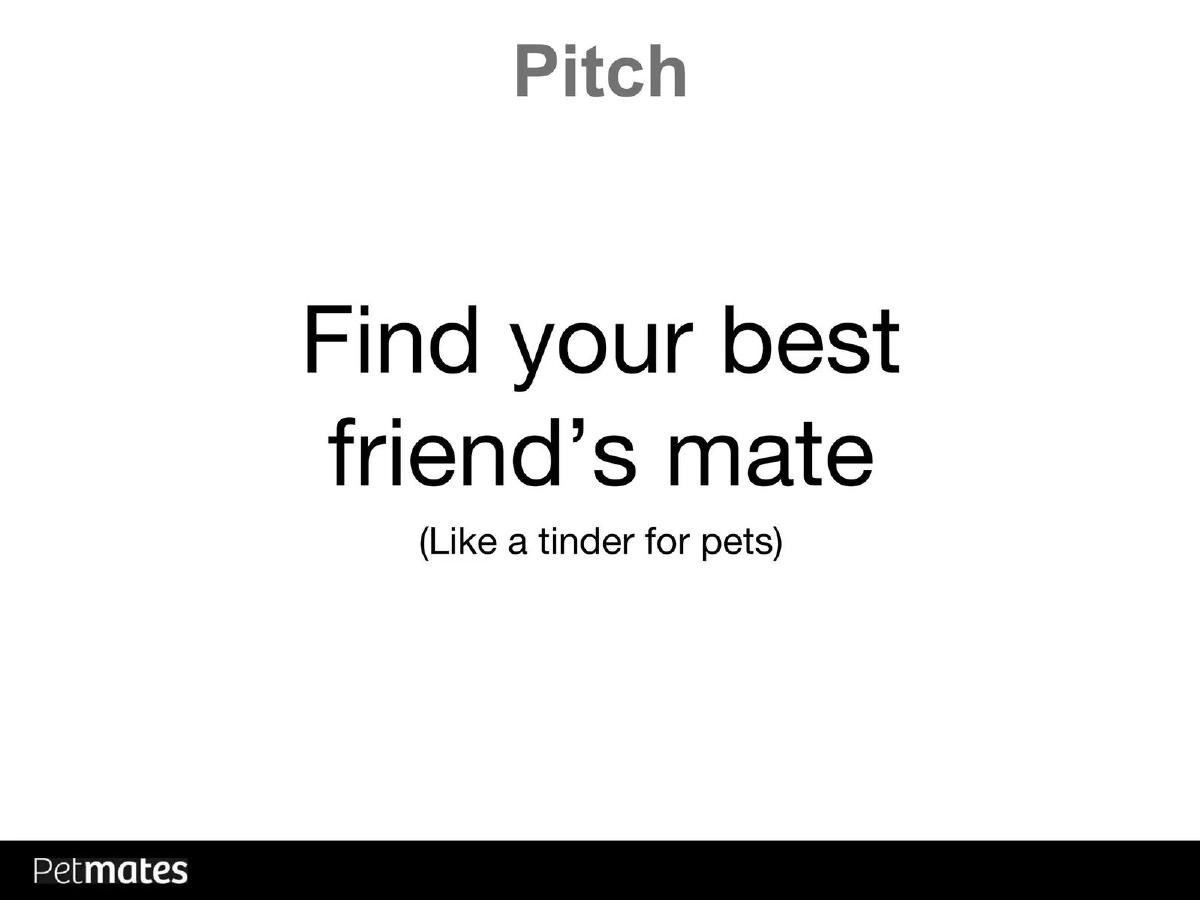 PetMates pitch deck slide 2 of 10