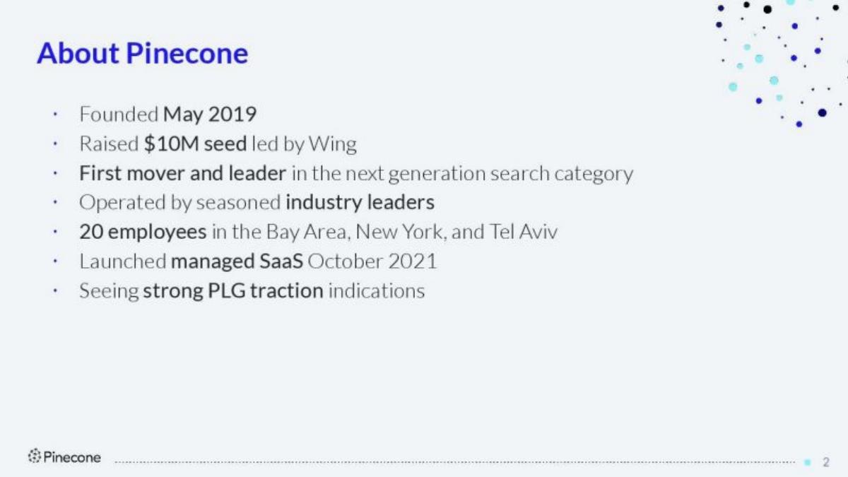 Pinecone pitch deck slide 2 of 19