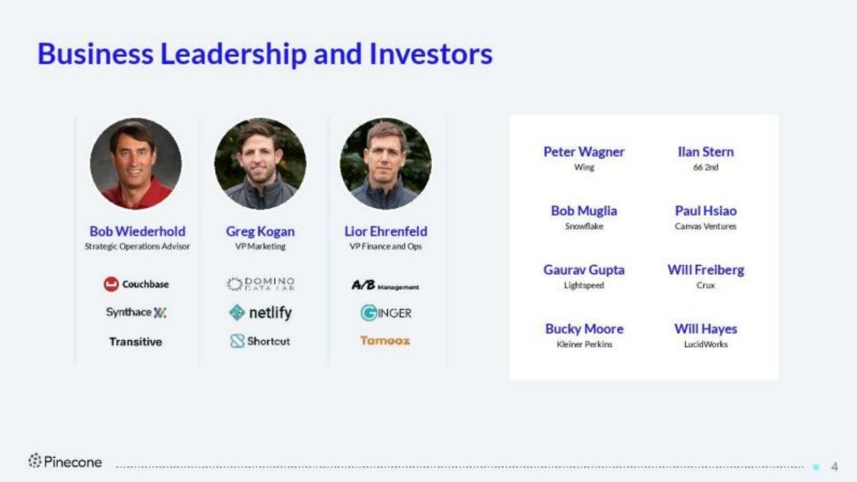 Pinecone pitch deck slide 4 of 19
