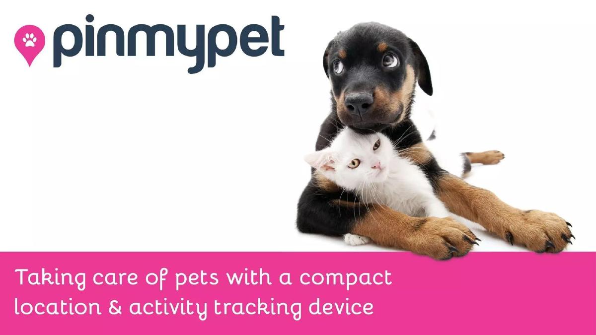 Pinmypet pitch deck slide 1 of 16