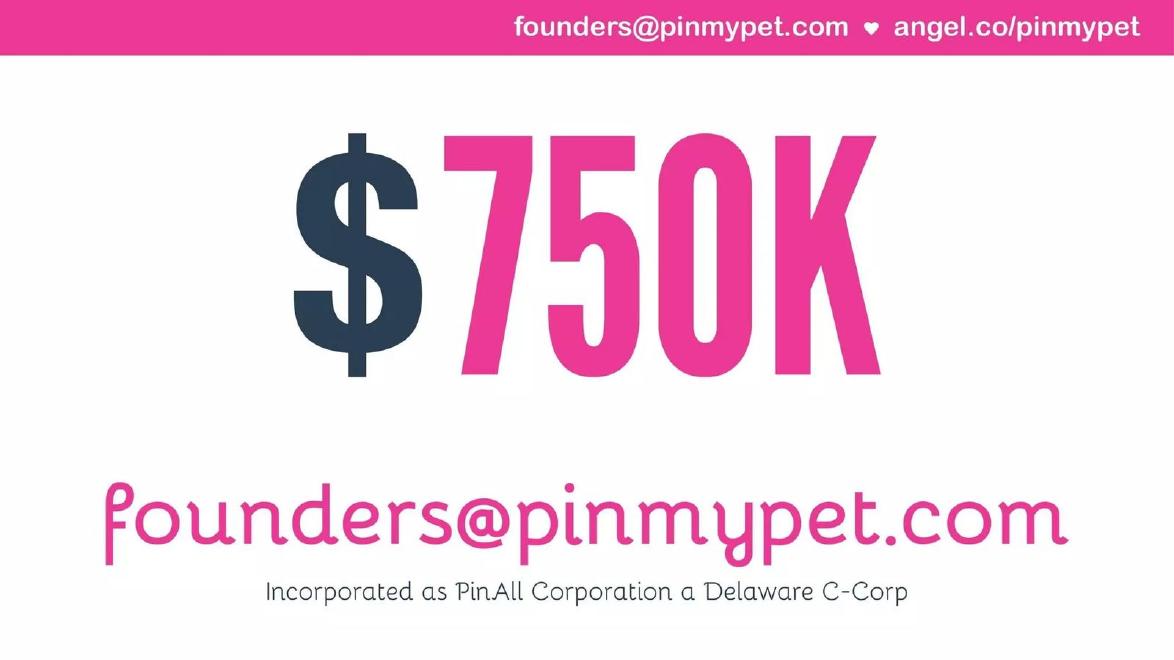 PinMyPet pitch deck Company structure slide slide 16