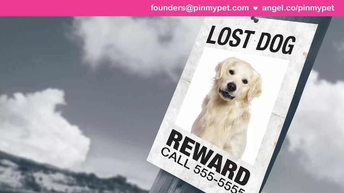 Pinmypet pitch deck slide 3 of 16